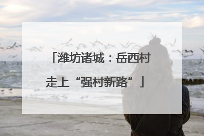 潍坊诸城：岳西村走上“强村新路”