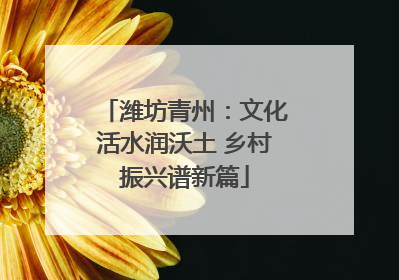 潍坊青州：文化活水润沃土 乡村振兴谱新篇