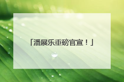 潘展乐重磅官宣！