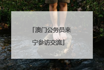 澳门公务员来宁参访交流