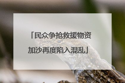 民众争抢救援物资 加沙再度陷入混乱