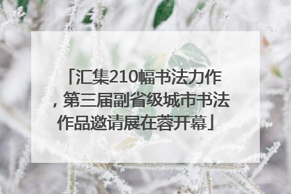 汇集210幅书法力作，第三届副省级城市书法作品邀请展在蓉开幕