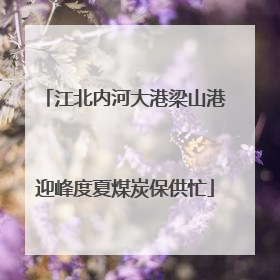 江北内河大港梁山港迎峰度夏煤炭保供忙