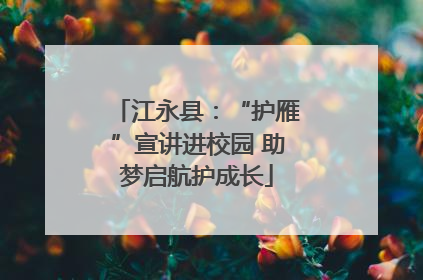 江永县：“护雁”宣讲进校园 助梦启航护成长
