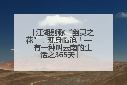 江湖别称“幽灵之花”，现身临沧！——有一种叫云南的生活之365天