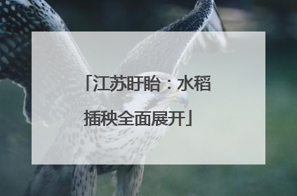 江苏盱眙：水稻插秧全面展开