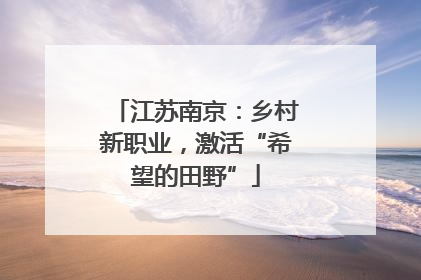 江苏南京：乡村新职业，激活“希望的田野”