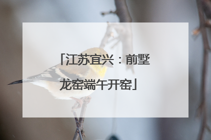 江苏宜兴：前墅龙窑端午开窑