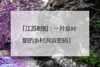 江苏射阳：一片桑叶里的乡村共富密码