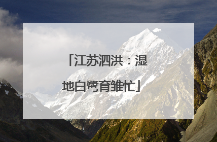 江苏泗洪：湿地白鹭育雏忙
