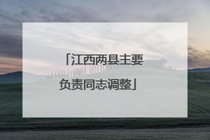 江西两县主要负责同志调整