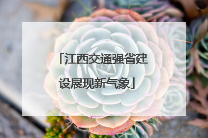 江西交通强省建设展现新气象