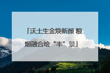 沃土生金焕新颜 粮烟融合绘“丰”景