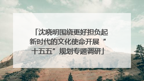 沈晓明围绕更好担负起新时代的文化使命开展“十五五”规划专题调研