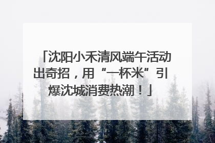 沈阳小禾清风端午活动出奇招，用“一杯米”引爆沈城消费热潮！