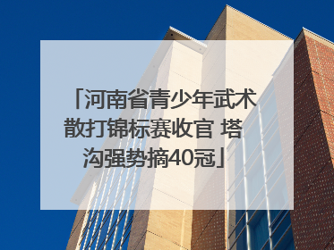 河南省青少年武术散打锦标赛收官 塔沟强势摘40冠