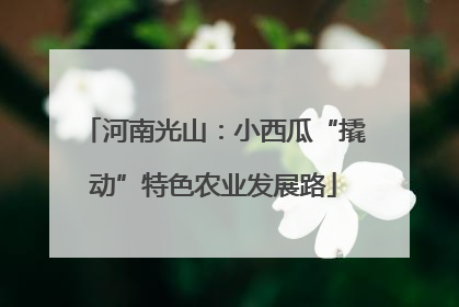 河南光山：小西瓜“撬动”特色农业发展路