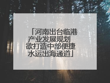 河南出台临港产业发展规划 欲打造中部便捷水运出海通道