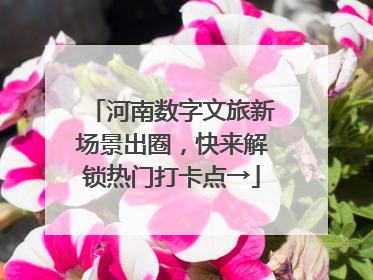 河南数字文旅新场景出圈，快来解锁热门打卡点→