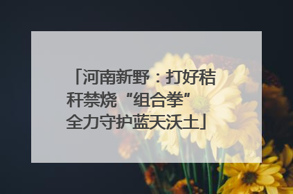 河南新野：打好秸秆禁烧“组合拳” 全力守护蓝天沃土