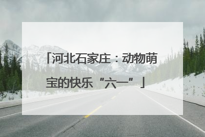 河北石家庄：动物萌宝的快乐“六一”