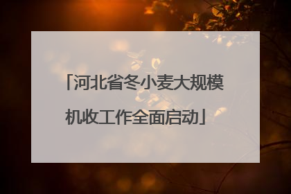 河北省冬小麦大规模机收工作全面启动