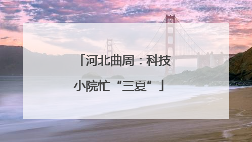 河北曲周：科技小院忙“三夏”