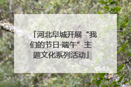河北阜城开展“我们的节日·端午”主题文化系列活动
