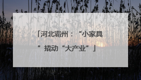 河北霸州：“小家具”撬动“大产业”