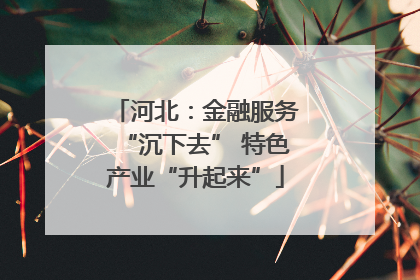 河北：金融服务“沉下去” 特色产业“升起来”