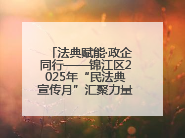 法典赋能·政企同行——锦江区2025年“民法典宣传月”汇聚力量 助推企业发展