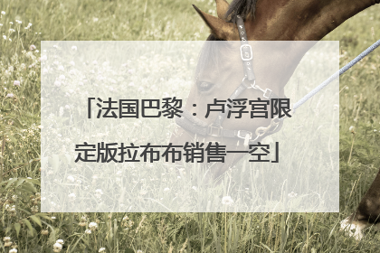 法国巴黎：卢浮宫限定版拉布布销售一空