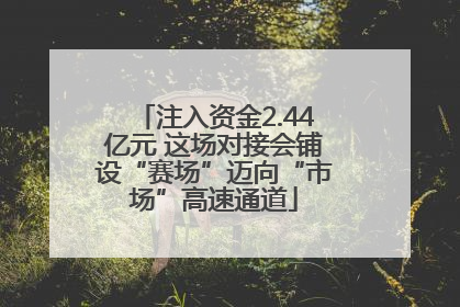注入资金2.44亿元 这场对接会铺设“赛场”迈向“市场”高速通道