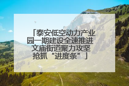 泰安低空动力产业园一期建设全速推进 文庙街道聚力攻坚抢抓“进度条”