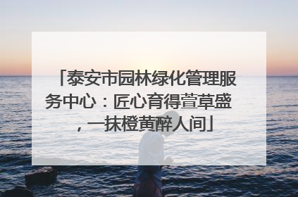 泰安市园林绿化管理服务中心：匠心育得萱草盛，一抹橙黄醉人间