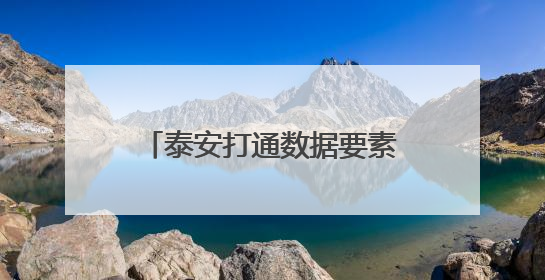 泰安打通数据要素价值化全链路径 典型案例亮相第七届数字中国建设峰会