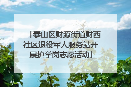 泰山区财源街道财西社区退役军人服务站开展护学岗志愿活动