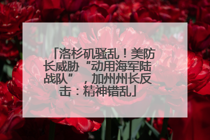 洛杉矶骚乱！美防长威胁“动用海军陆战队”，加州州长反击：精神错乱