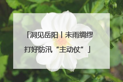 洞见岳阳丨未雨绸缪 打好防汛“主动仗”