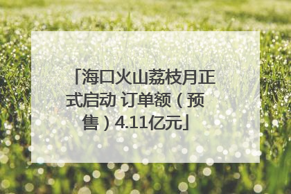海口火山荔枝月正式启动 订单额（预售）4.11亿元