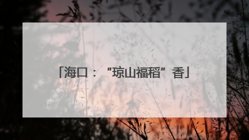 海口：“琼山福稻”香
