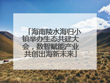 海南陵水海归小镇举办生态共建大会，数智赋能产业共创出海新未来