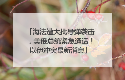 海法遭大批导弹袭击，美俄总统紧急通话！以伊冲突最新消息