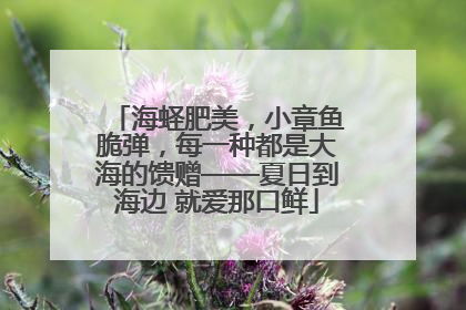 海蛏肥美，小章鱼脆弹，每一种都是大海的馈赠——夏日到海边 就爱那口鲜