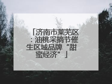 济南市莱芜区：油桃采摘节催生区域品牌“甜蜜经济”