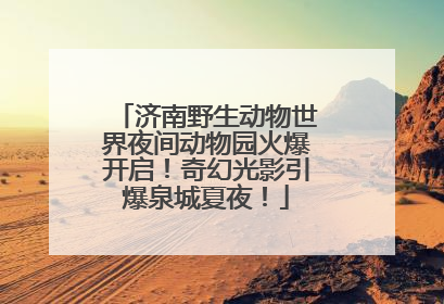 济南野生动物世界夜间动物园火爆开启！奇幻光影引爆泉城夏夜！