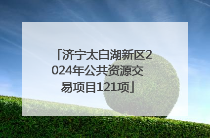 济宁太白湖新区2024年公共资源交易项目121项