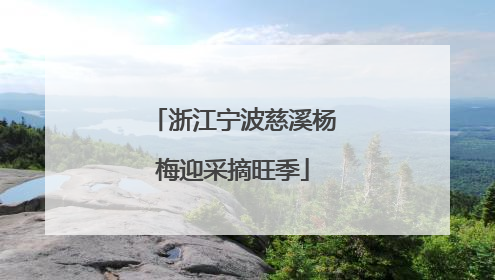浙江宁波慈溪杨梅迎采摘旺季