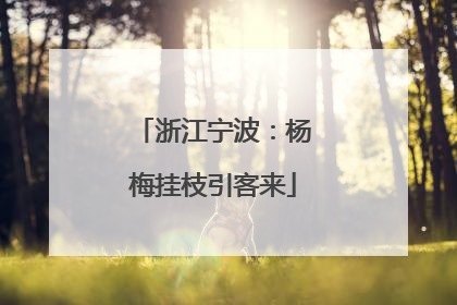 浙江宁波：杨梅挂枝引客来