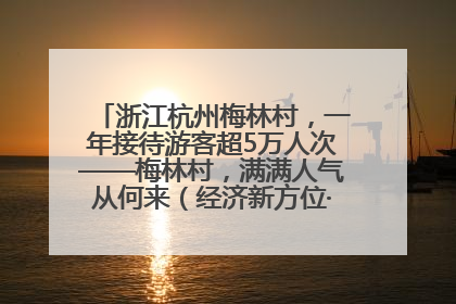 浙江杭州梅林村，一年接待游客超5万人次——梅林村，满满人气从何来（经济新方位·农村消费观察）